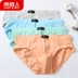 Nam Cực đồ lót nam 4 hộp thanh niên kích thước lớn eo giữa quần short cotton gợi cảm U lồi căng đồ lót nam - Giống cái