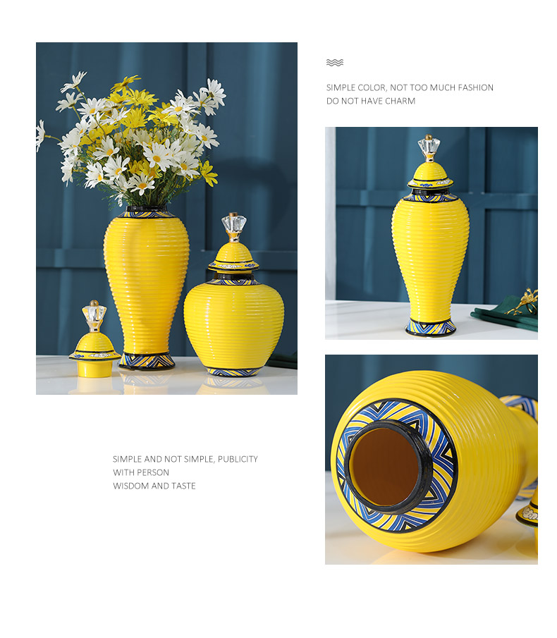 European ceramic vase furnishing articles sitting room flower arrangement of TV ark, wine table soft adornment American retro storage tank