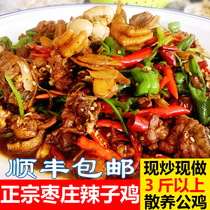 Shandong Zaozhuang spicy chicken vacuum fried chicken Zaozhuang specialty Linyi Yimeng Jining Tengzhou Taierzhuang spicy chicken