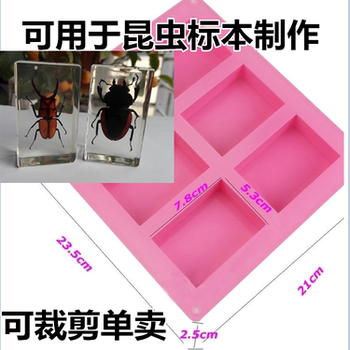 长方形植物干花昆虫琥珀标本手工制作材料椭圆形树脂滴胶模具硅胶