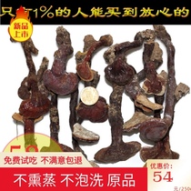 Village girl wild small Ganoderma lucidum red ganoderma Changbai Mountain pure wild Linzhi 5cm below can be beaten 250 grams