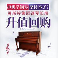 Đức Ernst Piano K8HHS nhập khẩu giảng dạy tại nhà thực hành chuyên nghiệp chơi đàn piano thẳng đứng mới cao cấp đàn piano casio