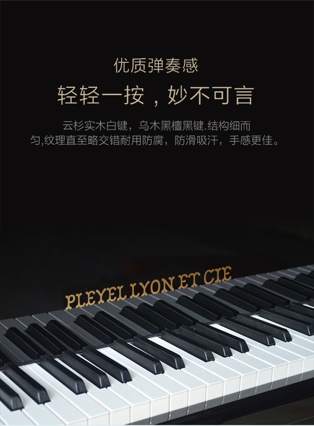Pleyer Lyon PY-M132 nhập khẩu đàn piano dọc mới dành cho người lớn bằng gỗ rắn 88 phím yamaha clp 645