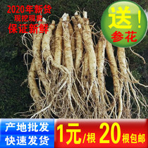 (Todays special price) Ginseng Northeast Changbai Mountain fresh ginseng with soil wild mountain ginseng fresh ginseng wine