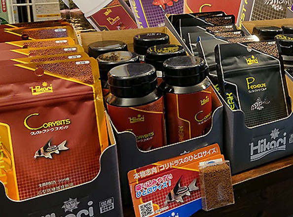 养鱼新手必看!Hikari高够力底栖鱼鼠鱼鲶鱼专用鱼食,真的那么神奇吗?-观赏鱼饲料-淘宝好物网