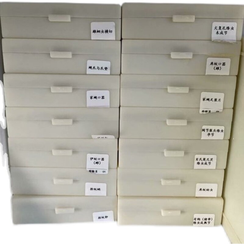 寄生虫学教学研究用生物标本切片高教品质显微镜标本片姜片虫