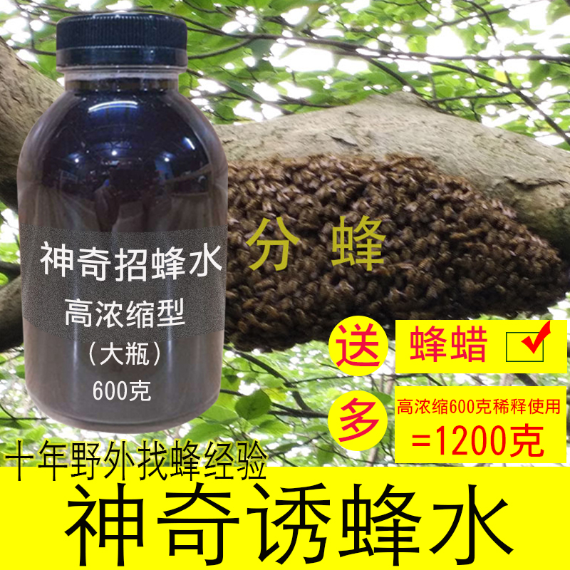 Magical recruiting bee water to lure bees in the wild to find bees in the field