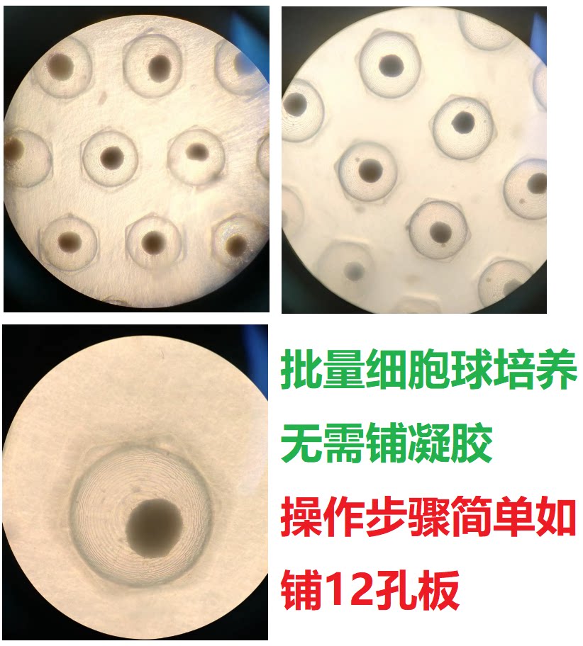 肿瘤球&amp;干细胞球 细胞球培养皿 单次可培养100个规整划一的细胞球