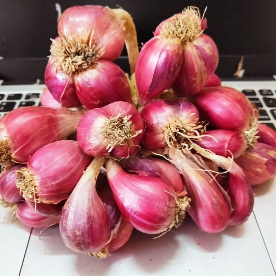 正宗广东红葱头为什么成了2026年厨房新宠？