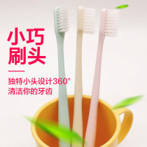 10 sets of plain soft fur toothbrush female adult with protective cover home family combination set