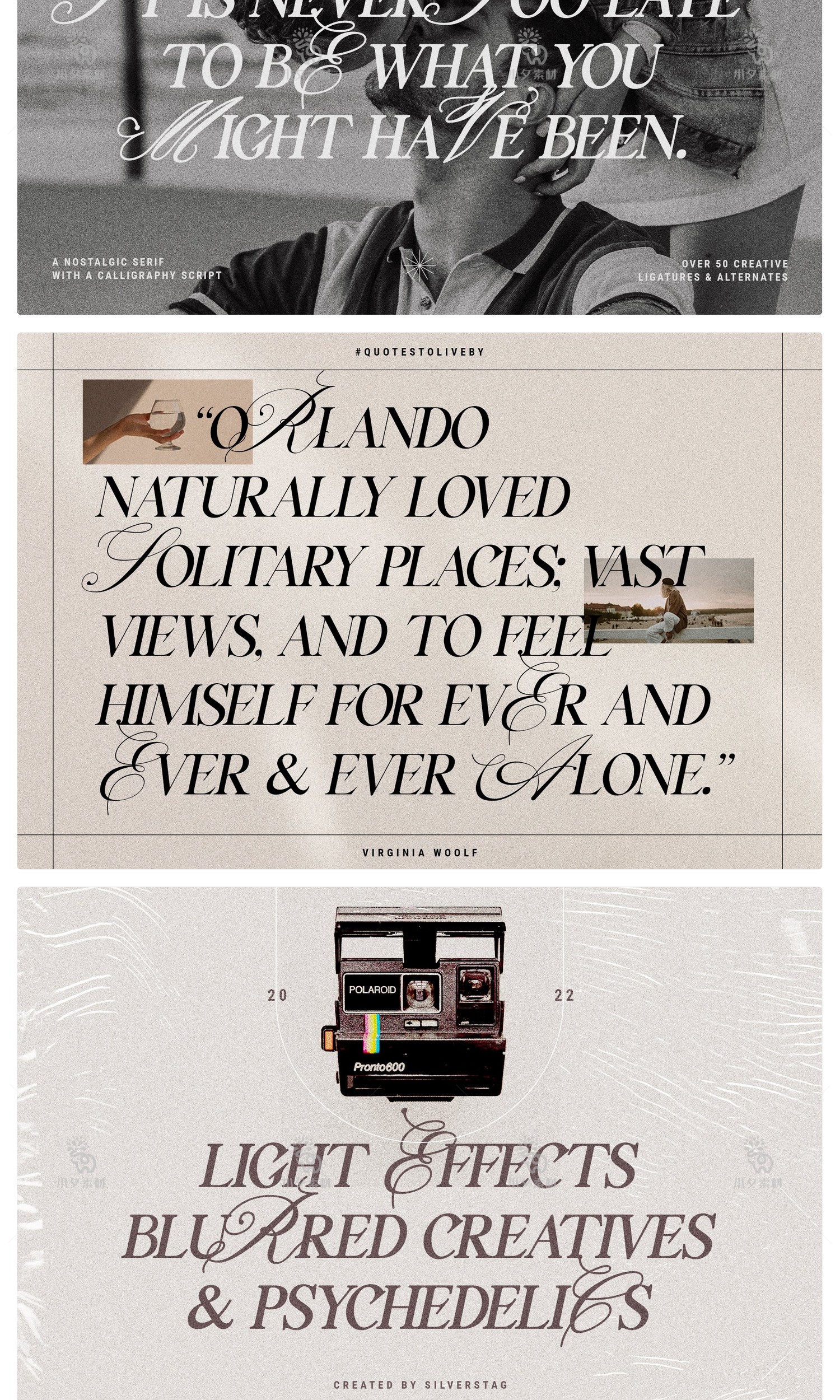 图片[6]-高级优雅欧式英伦花体衬线LOGO海报排版杂志标题英文字体安装包-cg男孩