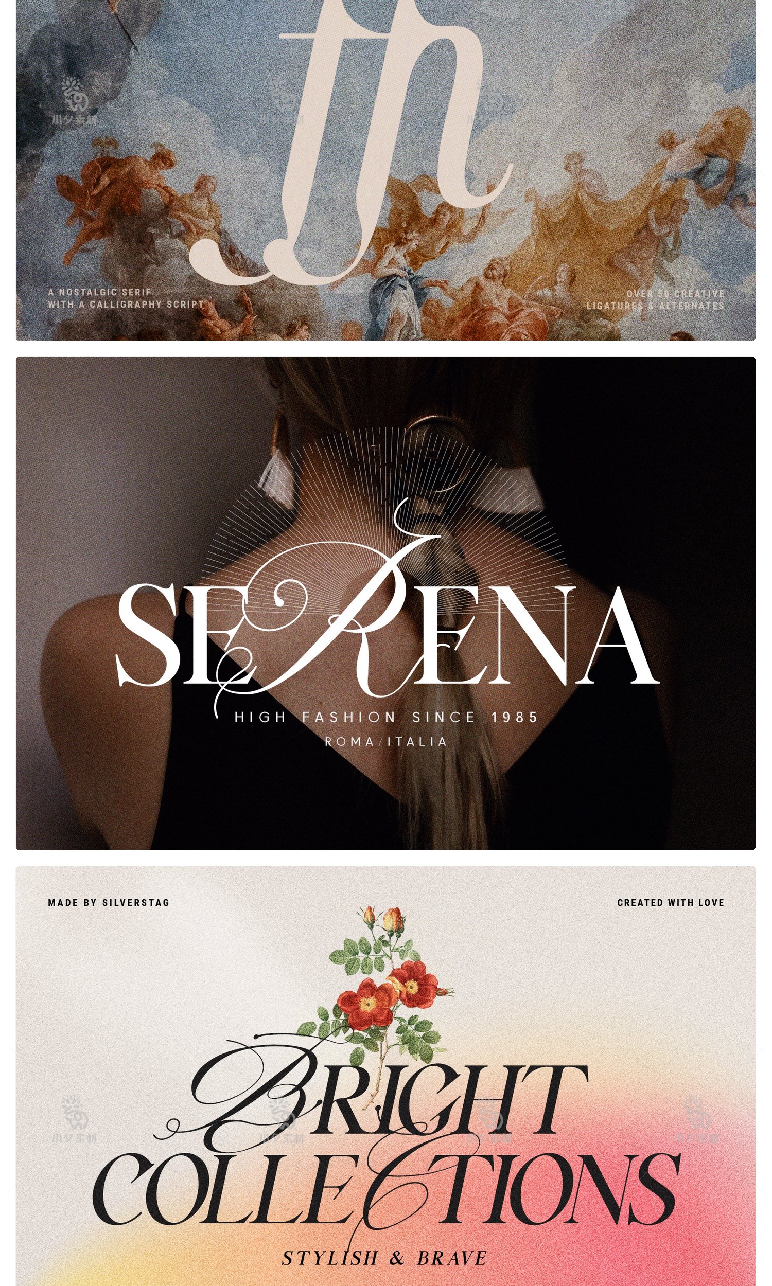 图片[2]-高级优雅欧式英伦花体衬线LOGO海报排版杂志标题英文字体安装包-cg男孩