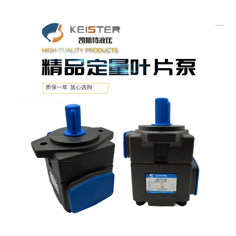 凯斯特KEISTER叶片泵PV2R1-10 14 17 19 23 25 28 31-FR 液压油泵