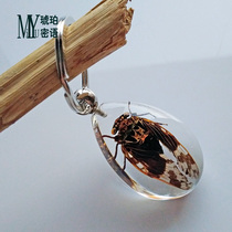 Insect luminous key pendant men and women personality creative gift White transparent stainless steel artificial amber keychain