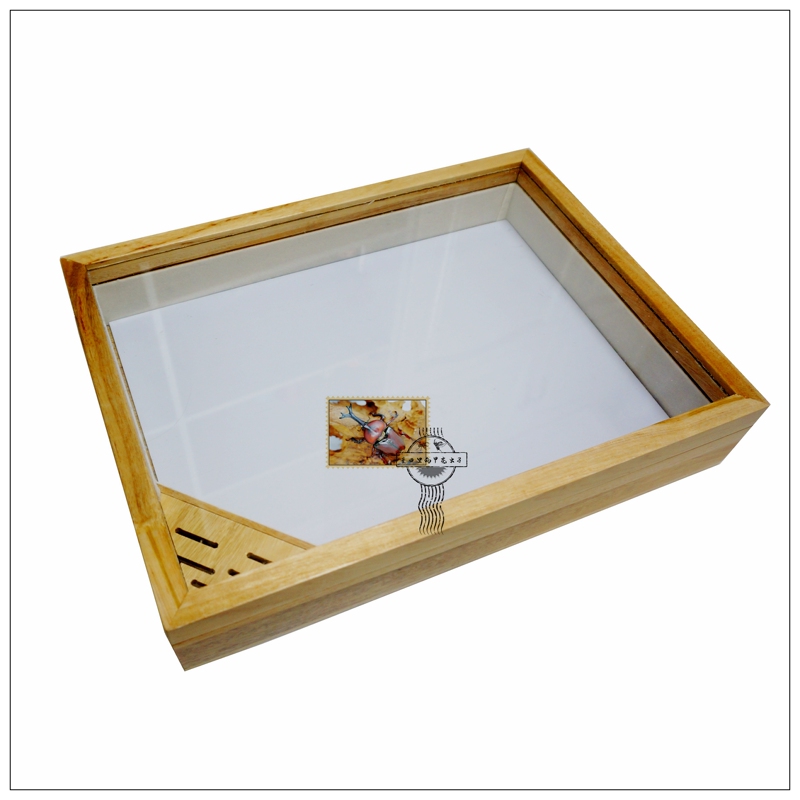 Black and White Frame Solid Wood (Camphor Wood) Specimen Box [Beetles, Butterflies, Shells, Gemstones] Pack 
