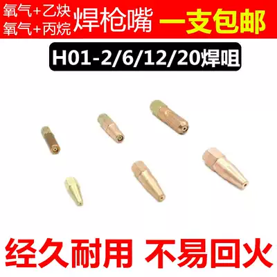H01-6 oxygen acetylene welding torch nozzle nozzle propane gas liquefied gas H01-12 welding nozzle 1#2#3#H01-2