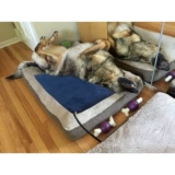 Pet Electric Blanket Cat Электрическая горячая нагревательная нагревательная подушка теплый термометр Водонепроницаемый автоматический мощность -Проницаемый Dog Pet Electric Mattress