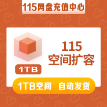 (Automatic delivery)115 space card 115 network disk expansion 1TB card 115 cloud disk 1T permanent space expansion