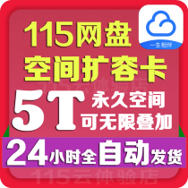 (5TB official activation code)115 network disk space card 115 cloud disk expansion card 5TB permanent space expansion