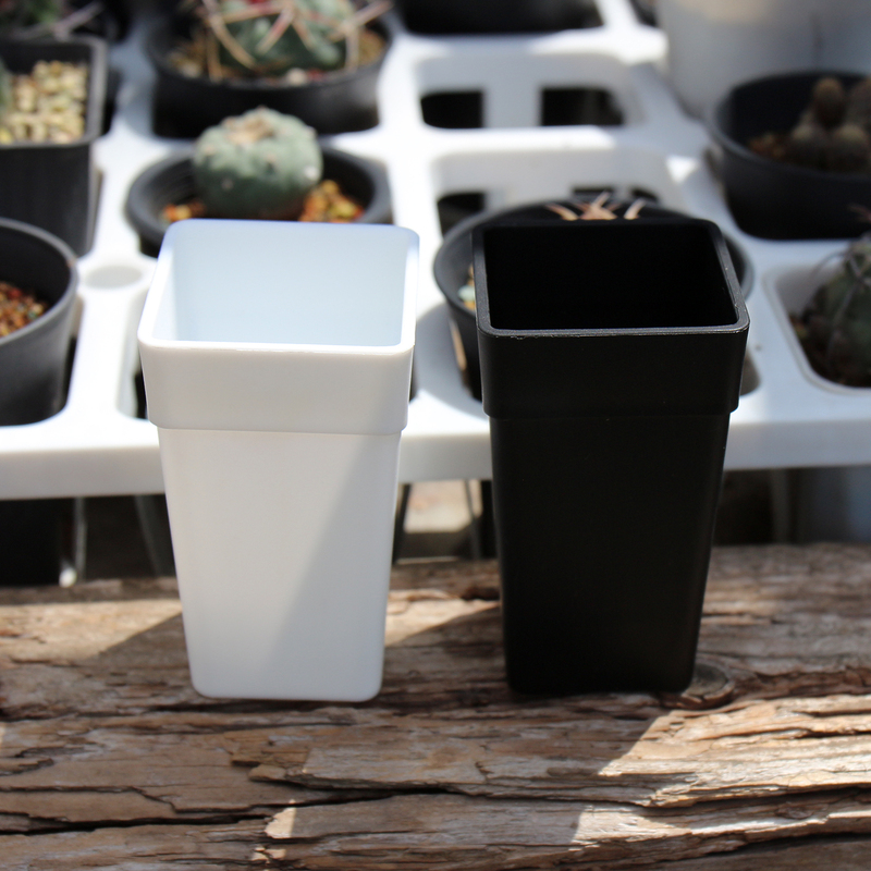 Space-Saving Black/White Resin Square Pot for Lithops and Echeveria, Sturdy Flower Pot