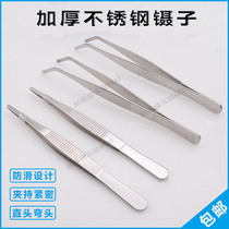 Thickened stainless steel tweezers 12 5cm-30cm straight head elbow non-slip lengthened toothed dressing tweezers 
