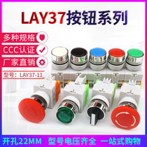 LAY37-11BN button switch self-reset self-locking with light flat button emergency stop switch second gear and third gear knob inching