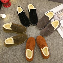 Womens cotton shoes womens winter plus velvet students snow shoes winter vintage autumn and winter low tube low tube lazy