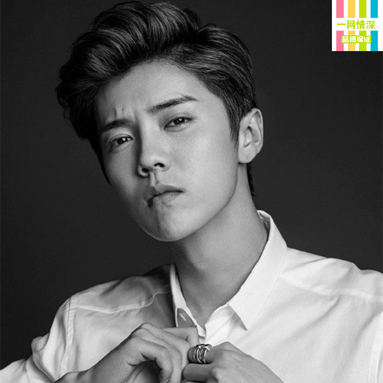 Perruque cheveux courts - Ref 2608533 Image 11