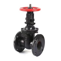 Z41T cast iron flange Ming rod gate valve copper rod copper core pipe valve 50 65 80100150200250