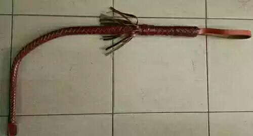 Article équitation - Ref 1383169 Image 6