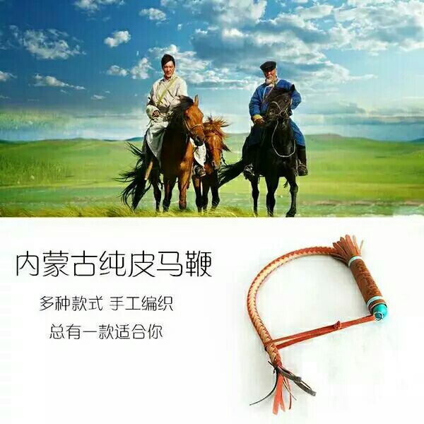 Article sports equestres - Ref 1380409 Image 3