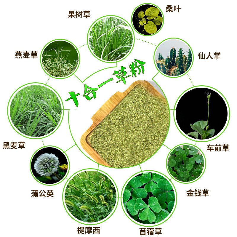 陆龟必备营养盛宴🌿 灵声10合1草粉陆龟饲料分装七合-观赏龟-淘宝好物网