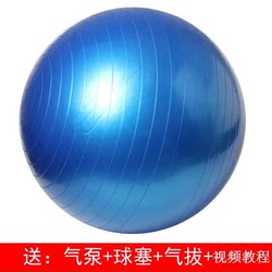 Professional Rehabilitation Training Ball kids Brain Feelings Balance Bartscher Ball Premature Cage Ball Air Delivery Tube