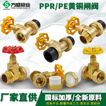 PPR copper gate valve PPR valve double-head live copper ball stop valve 20 4 points PPR water pipe fittings