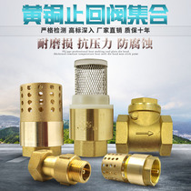 Brass horizontal vertical check valve swing type water meter front check valve return valve check valve copper bottom valve