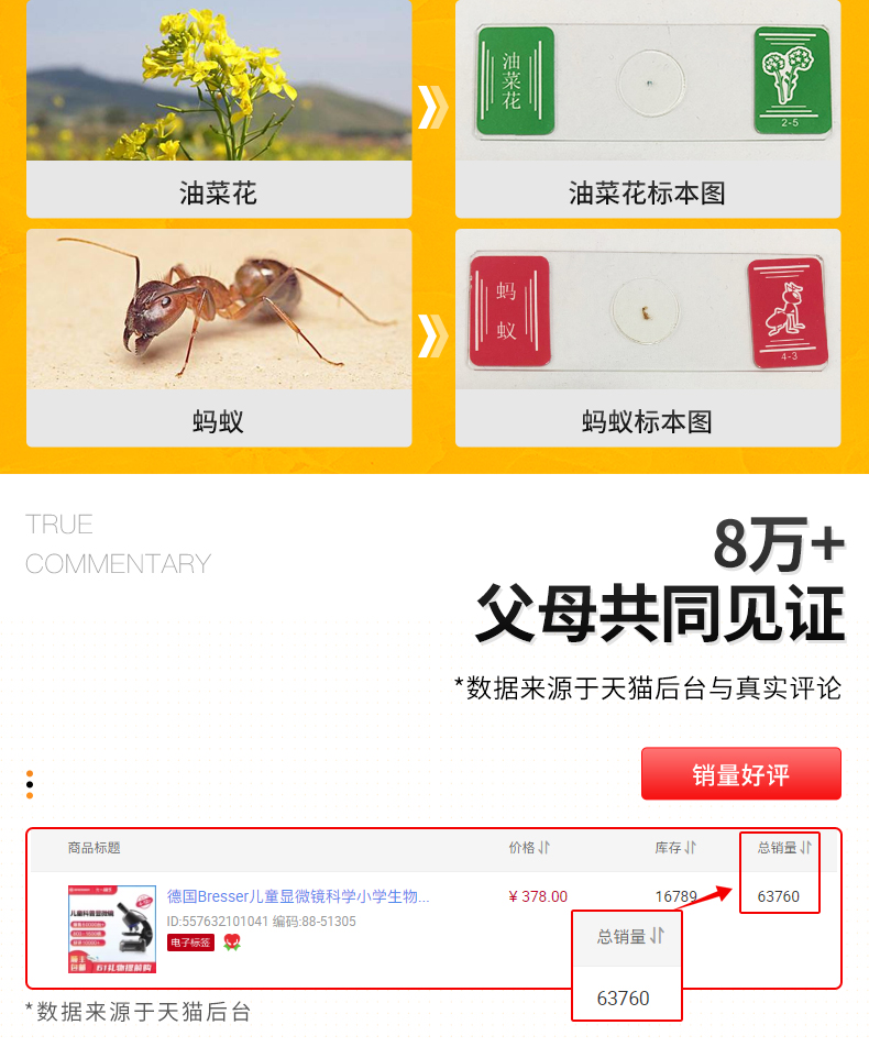 德国 宝视德 bresser 儿童专业显微镜 可连手机 图12