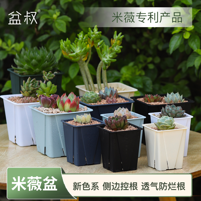 Bulk Price for Thick-Walled Root-Control Pots 7/9.5/15 Square for Succulents, Cacti, Sedums, Green Plants, and Roses with Free Shipping