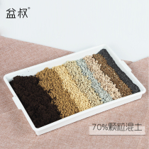 Uncle of the shop succulent plant special soil 70% particles mixed nutrient soil novice soil particles do not need paving