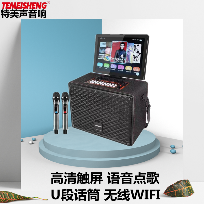 Temevoice QX0879 handheld outdoor film sound with microphone point song singing High power networking Bluetooth speaker