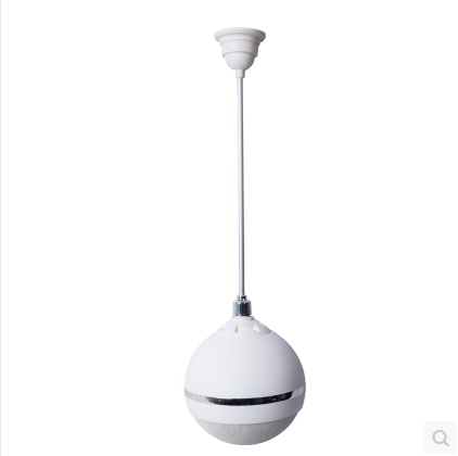Suspended Ball Suspended Acoustics Coaxial Horn Ceiling Indoor Shop Supermarket Furnishing Surround Utiliti