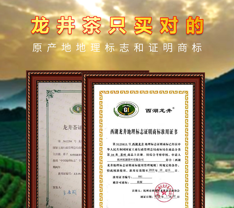 西湖炒茶王出品 蓝翼 杭州西湖雨前龙井茶 500g 图3