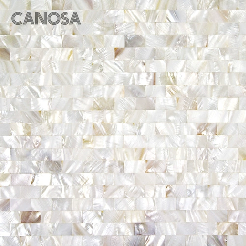 Spot Kanosa Shell Mosaic натуральная цветовая отделка TV Фоновая настенная плитка плитка головоломки