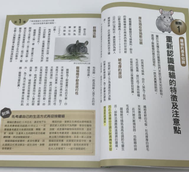 The first time you raise a chinchilla in the Taiwan version, you can get started Maple Leaf Shetian Xiang Jianyi 50 key breeding strategies for chinchillas to live a healthy and long life. Feeding guide pet books