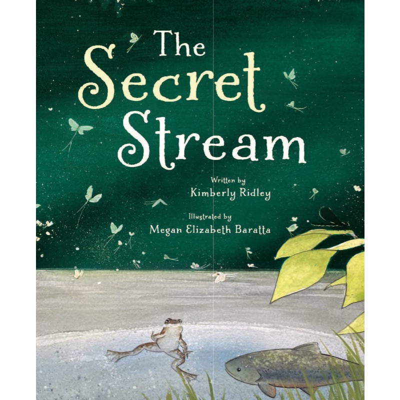 The Secret Stream 祕密溪流 英文原版 進口圖書 兒童自然繪本 科學百科知識圖畫書 兒童科普讀物 精裝 精品繪本【中商原版 ...
