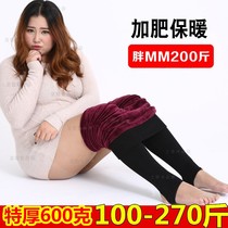 2020 new autumn and winter fat mm200 pounds leggings thickened and velvet women wear outside to step on the foot fat plus size is thin