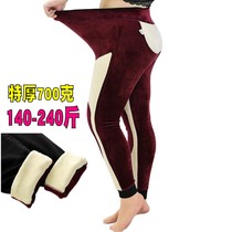 Northeast fat plus size female fat mm waist knee pad plus velvet thickened 200 pounds of high waist extra thick outside wearing leggings