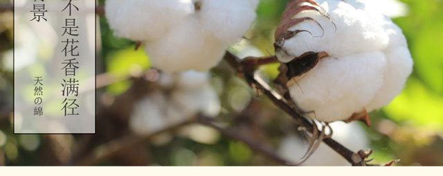 Yau bông bông rửa giường hoa váy trong bông cotton một mảnh xù trải giường váy ngủ bảo vệ Simmons - Váy Petti ga giường viền họa tiết
