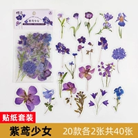 Темно-коричневая наклейка-фиолетовая змея девушка