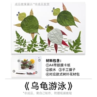 Плавание черепахи