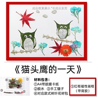 Красная фоторамка, сова